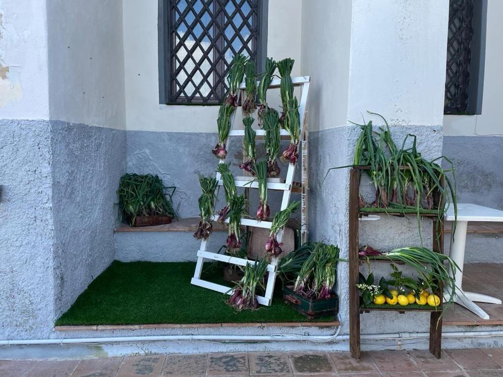 La Locanda Del Convento Tropea Bagian luar foto